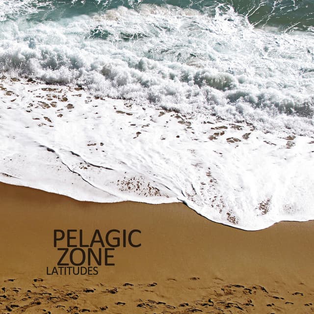 PELAGIC ZONE
