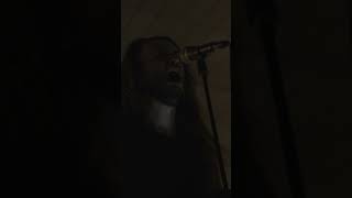 THE NEW FLESH | OUT NOW 🩸