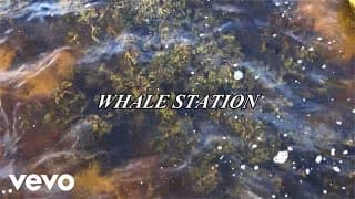 The New Eves - Whale Station (Official Video)