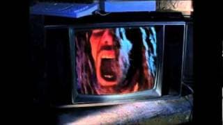 Victim of the Paranoid