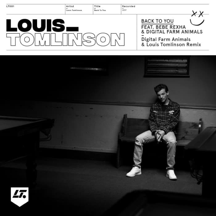 Back to You (Digital Farm Animals & Louis Tomlinson remix)