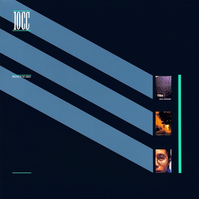 Windows in the Jungle